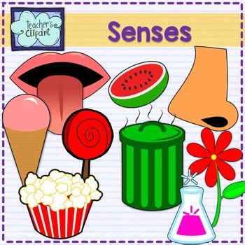 5 senses clipart sight, 5 senses sight Transparent FREE for download on WebStockReview 2021