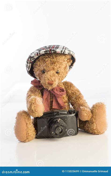 Teddy Bear Sitting with Camera Stock Image - Image of isolated, bear: 115025699