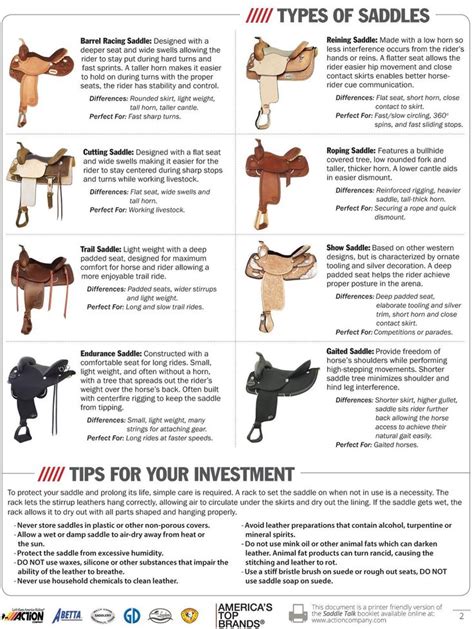 Saddle types | Horse riding tips, Horse camp, Horse saddles