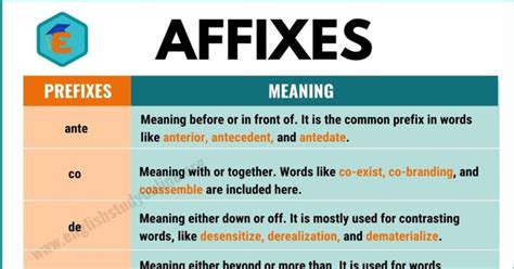 Affixes Definition | List of Common Prefixes & Suffixes - English Study Online