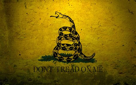 Military flags usa navy concrete dont tread on me gadsden flag ...