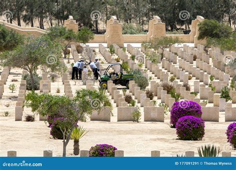 El Alamein War Cemetery At Alamein In Egypt. Editorial Image | CartoonDealer.com #260163552