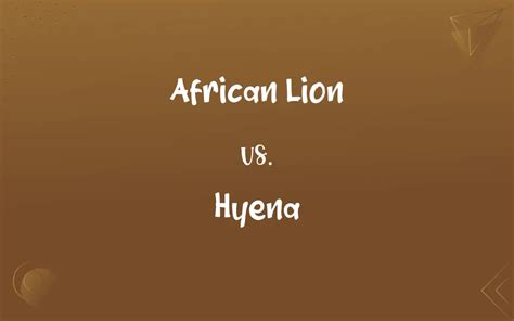 African Lion vs. Hyena: What’s the Difference?