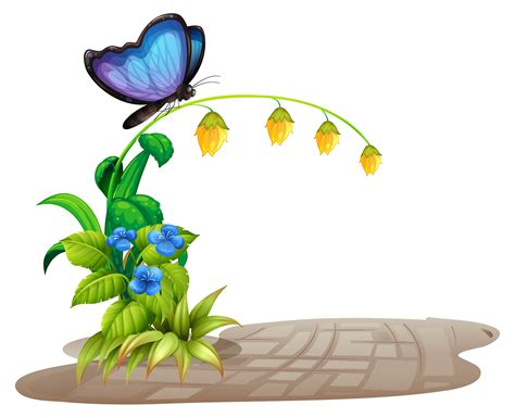 Butterfly and flower 520627 Vector Art at Vecteezy