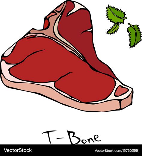 T-bone steak cut isolated on white Royalty Free Vector Image