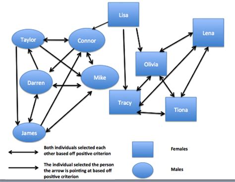 What Is a Sociogram? A Leadership Tool Worth Knowing About • Six Seconds