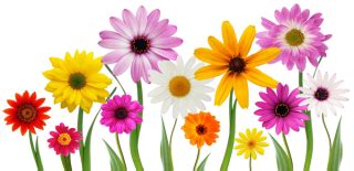 Spring Flower Bouquet Clipart Free | Best Flower Site