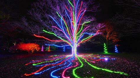 Christmas at Kew Gardens: Christmas Light Dates & Tickets