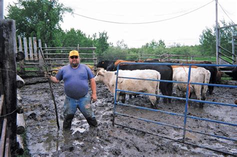 Tips to help keep you and your livestock out of the mud