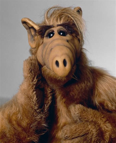 Catch Up With the Cast of 'ALF' 24 Years After the Series Ended ...