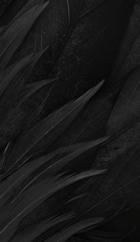 Black Feather Wallpapers - Wallpaper Cave