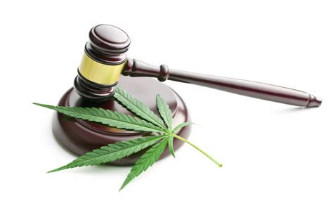 Medical Marijuana Laws and Employers Rights - Background Checks | Drug Screening