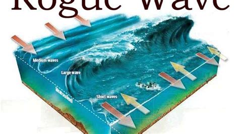 A new record was set by the longest wave in the world, which was detected off the coast of ...