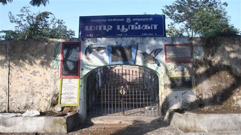 Maadi Poonga, a wall-sized piece of history at Royapuram - The Hindu