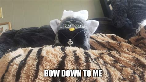 Original furby meme | Memes Amino