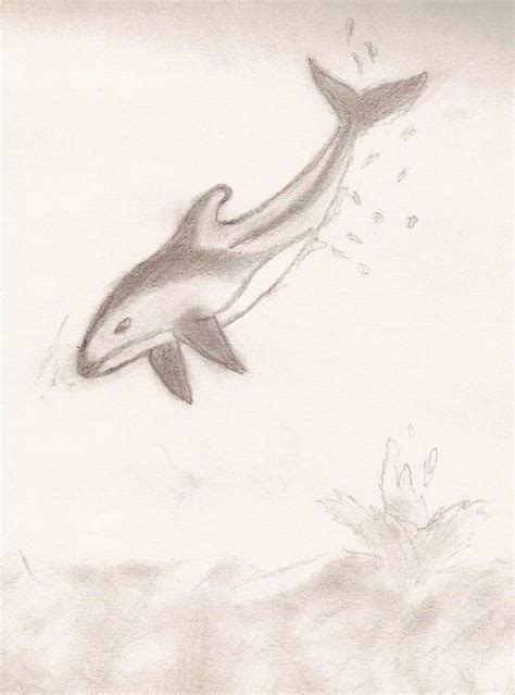 Dolphin Pencil Sketch by SawnikBewm on deviantART