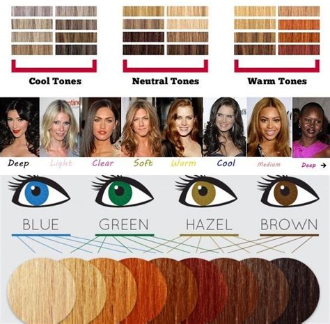 hair color chart | Skin tone hair color, Hair color chart, Tone hair