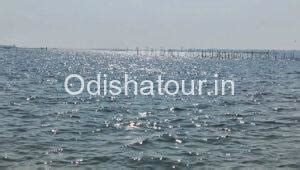 Satapada Chilika Lake, Dolphin Point, Puri | Odisha Tour