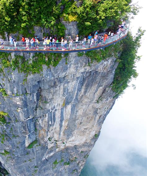 The Worlds Highest Glass Skywalk In Zhangjiajie National Forest Park | Images and Photos finder