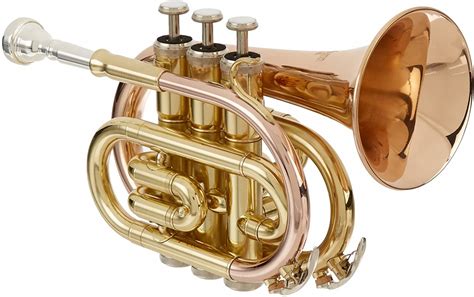 The Best Pocket Trumpets for Beginners - Instruments.guru