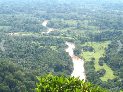 Parque Nacional da Serra do Divisor - Brasil Turismo