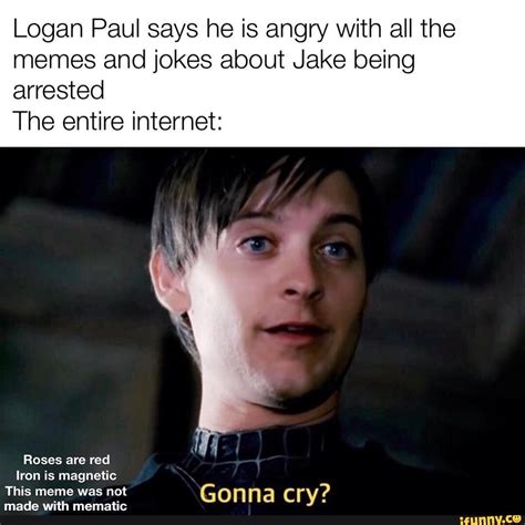 Logan Paul says he is angry with all the memes and jokes about Jake being arrested The entire ...