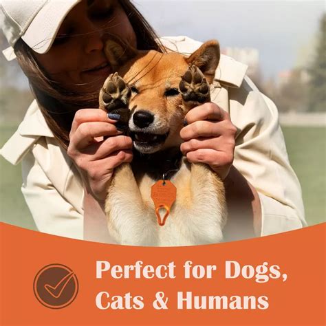 Effortless Dog Tick Removal Tool, Safeguard Your Pets From Ticks - 6pk : Target