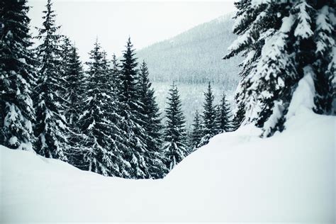 Snowy winter landscape 1421249 Stock Photo at Vecteezy