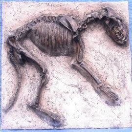 Dire Wolf Skeleton Replica Plaque | DINOSAURS ROCK SUPERSTORE | Fossil ...