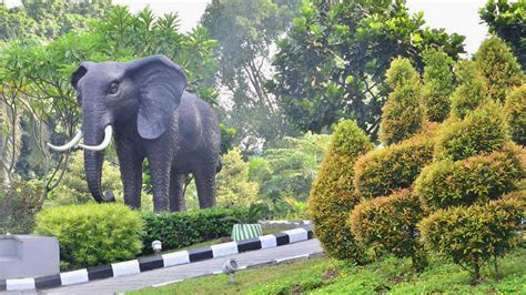 Lingkungan Alam | PT Gajah Tunggal Tbk