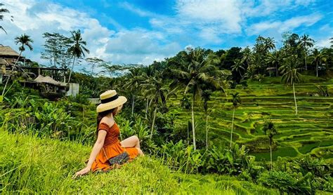 Ubud Tour – Bali Tour | Travel