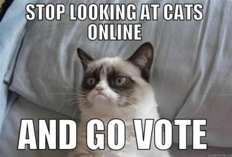 Funny Election Day Memes for 2024 - Lola Lambchops