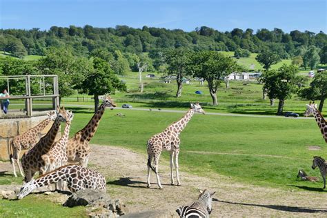 Longleat Safari Park | Longleat Safari Park | INOV8 Marketing | Flickr