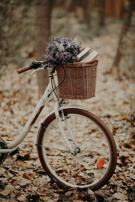 White Bike With Basket on It · Free Stock Photo