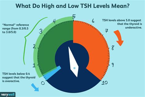 Niveaux élevés et faibles d'hormones de stimulation de la thyroïde : Significations et variations