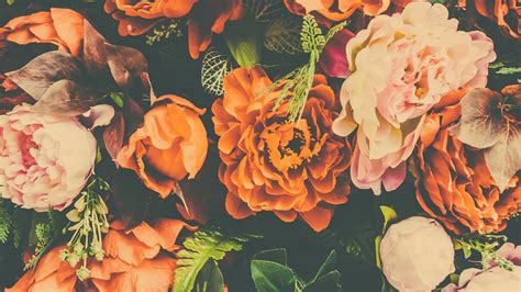 Orange Flowers With Green Leaves HD Orange Aesthetic Wallpapers | HD ...