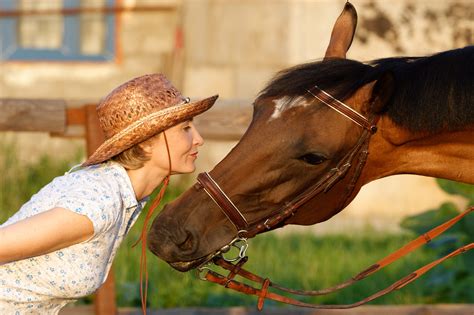 A guide on animal communication - Elearn College