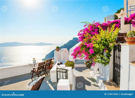 Beautiful Terrace with Pink Flowers, Santorini Island, Greece Stock Image - Image of flower ...