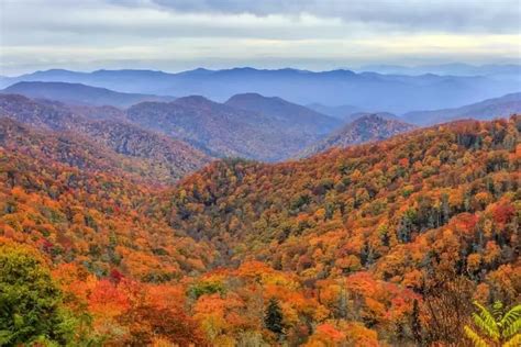 Top 4 Things to Know About Seeing the Smoky Mountains Fall Colors