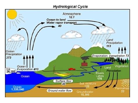 Hydrology The flow of water across and through