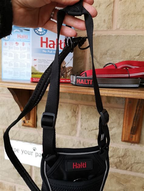 HALTI No-Pull Harness Review: Does It Actually Stop Dogs Pulling?