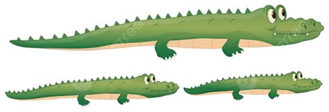 A Crocodile Teeth Brown Colorful Vector, Teeth, Brown, Colorful PNG and Vector with Transparent ...