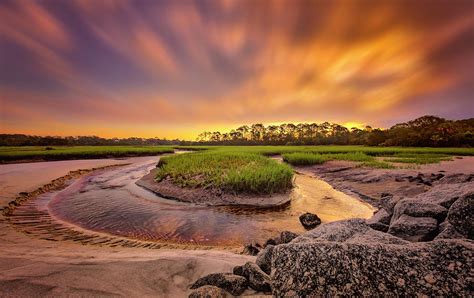 Big Talbot Island Photograph by Peter Lakomy - Fine Art America