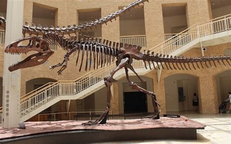 Fernbank Museum of Natural History | Best Self Atlanta