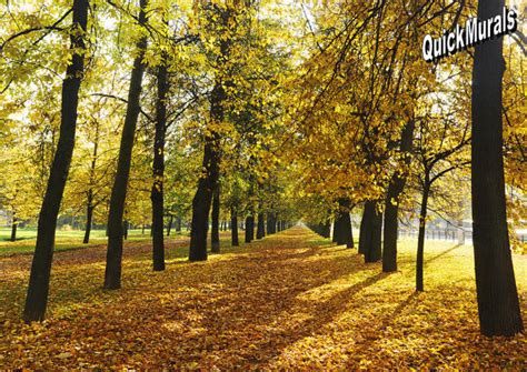 Autumn Park Wall Mural