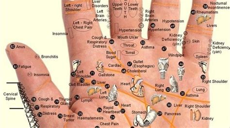 Acupressure Points on Hand for Pain Relief | Acupressure Points