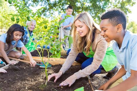 8 TIPS FOR STARTING AN ORGANIC SCHOOL GARDEN | Kellogg Garden Products