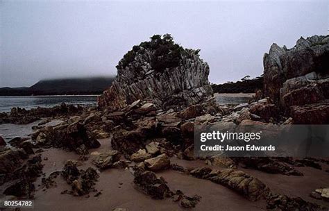 128 Tasmanian Wilderness World Heritage Area Stock Photos, High-Res ...