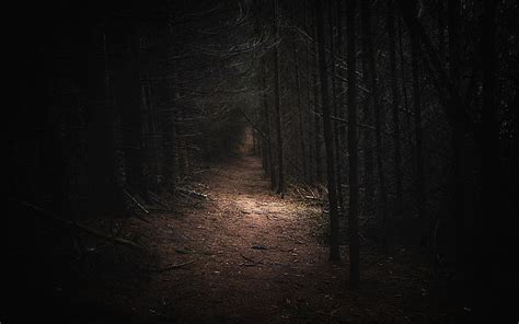 1620x2160px | free download | HD wallpaper: nature, landscape, dark, forest, Germany, path ...