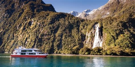 Southern Discoveries Milford Sound Cruise & Underwater Observatory | Everything New Zealand